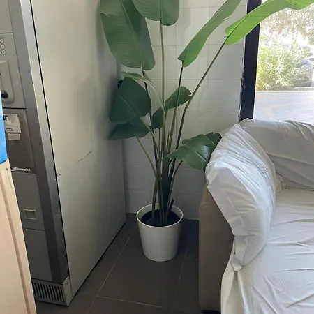 Appartement Masiniapartment Bologna